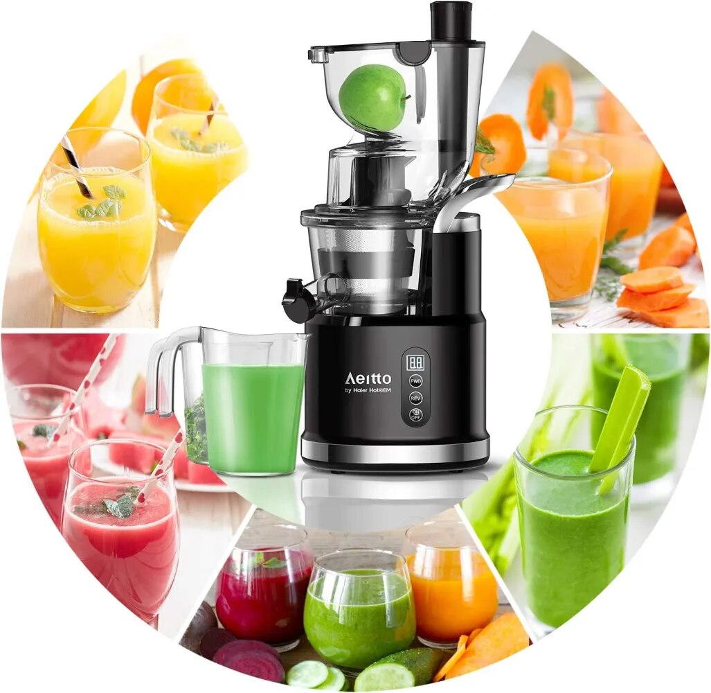 Professional Slow Juicer Machine