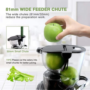 Professional Slow Juicer Machine