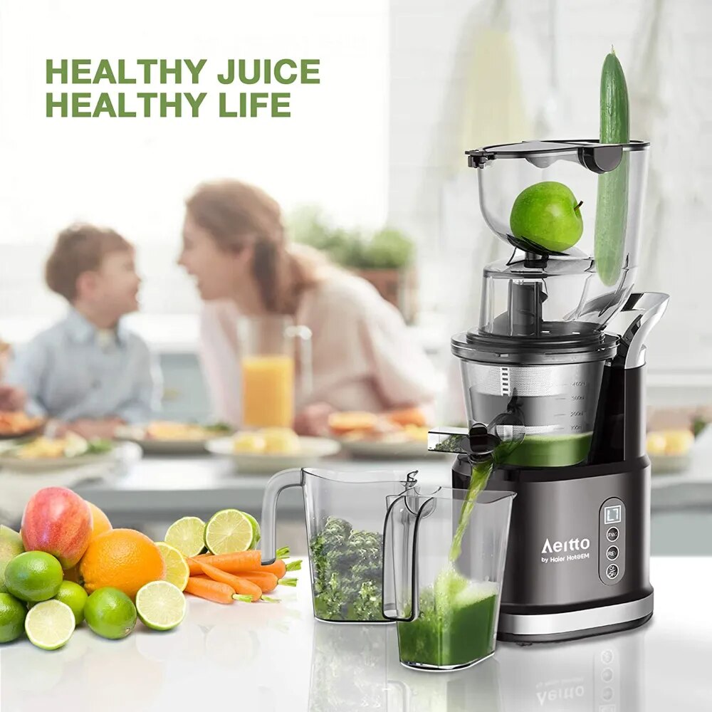 Professional Slow Juicer Machine